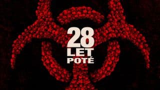 28 let poté